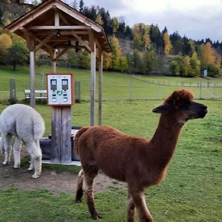 In Steiermark Kreischberg