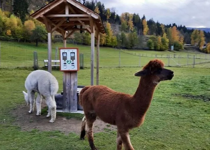 In Steiermark Kreischberg